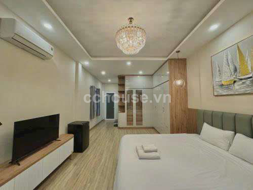 Biet-thu-san-vuon-ngay-trung-tam-Q1-Ngang-6m-id9254