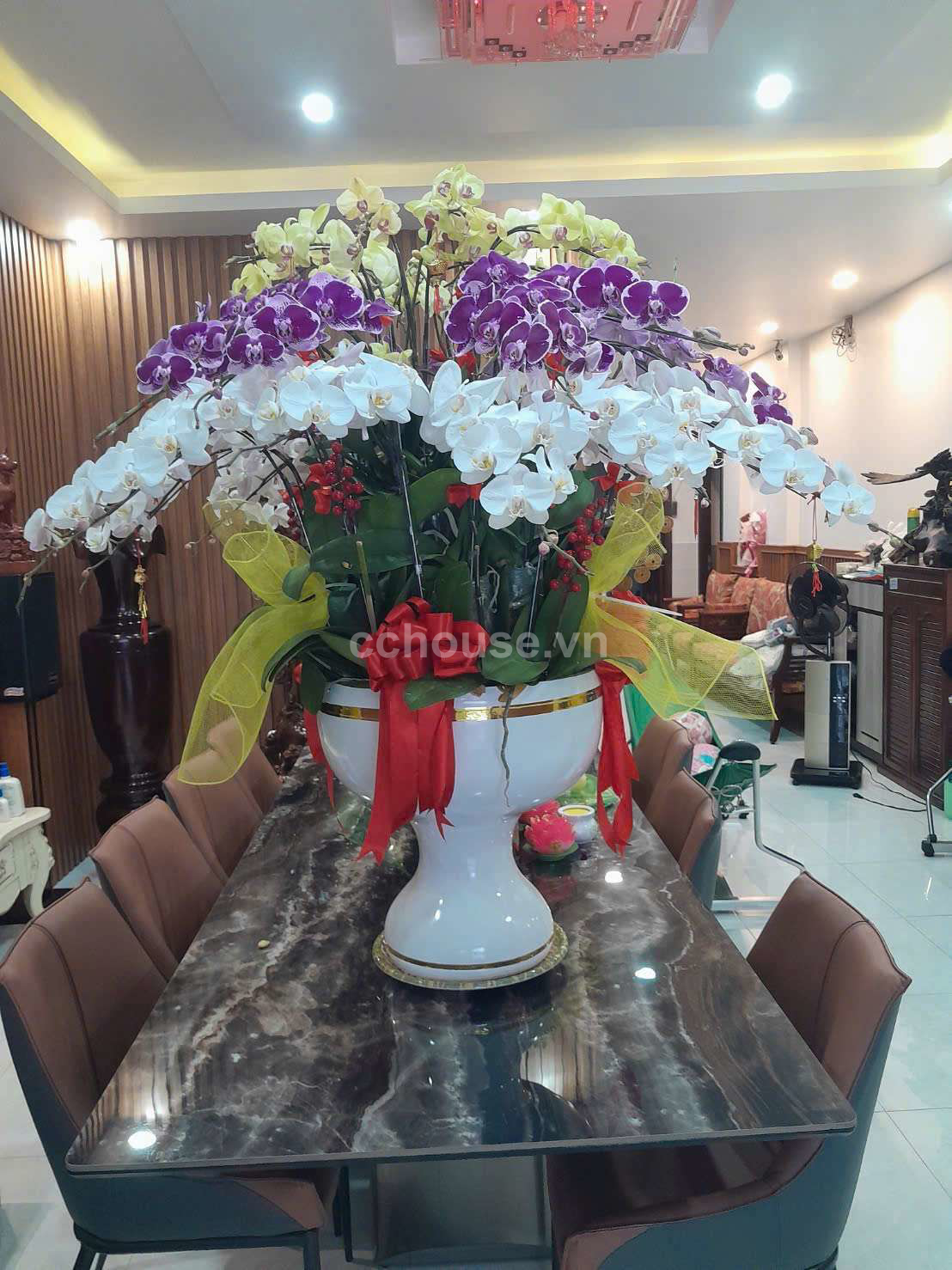 Căn Hộ Dịch Vụ Mặt Tiền nội bộ 8m Lý Thường Kiệt .Q. Tân Bình