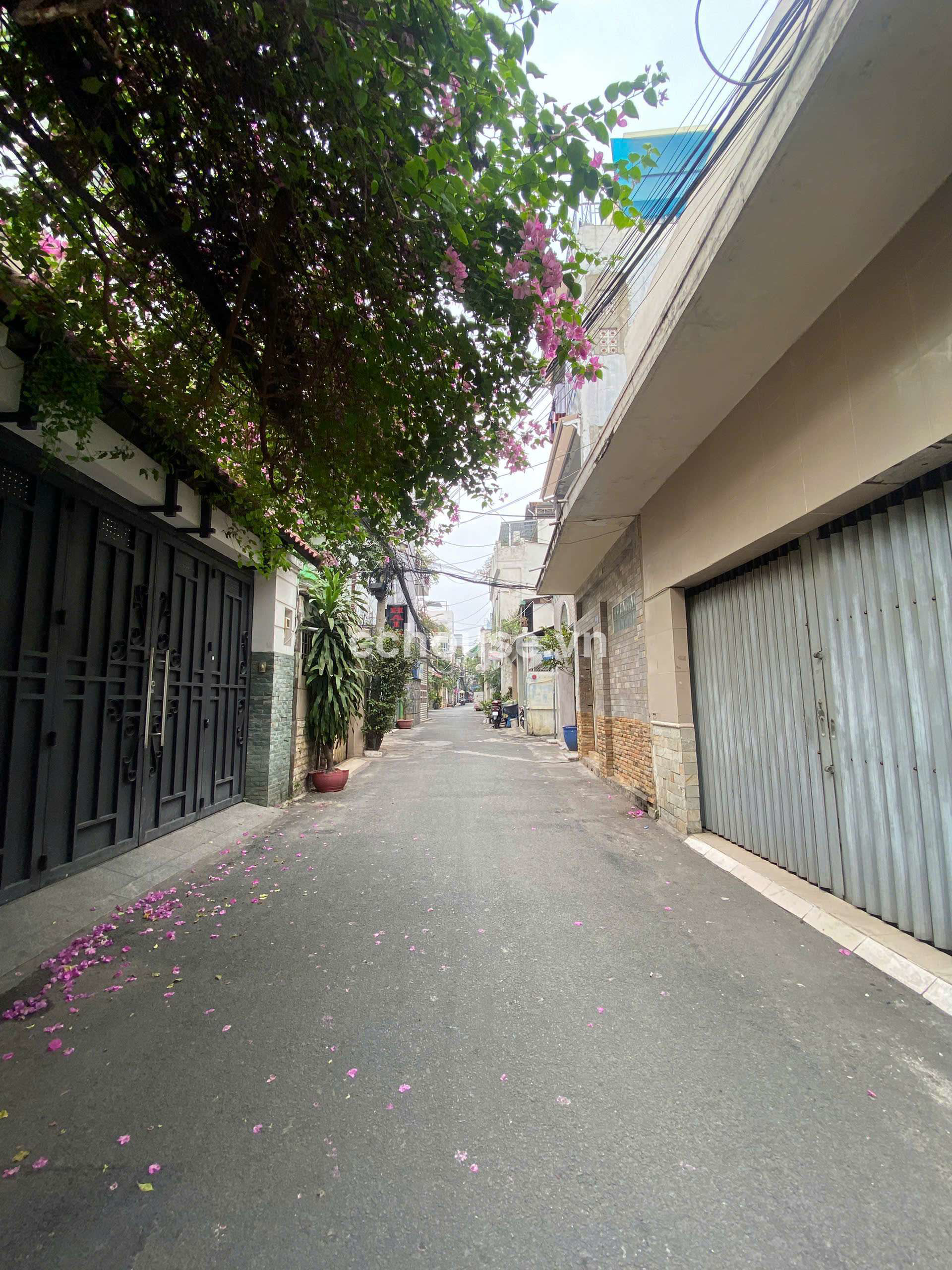 Hẻm 5m Lê văn sỹ .Diện tích : 4.4 X 15m ( Nở hậu : 7m). Giá mềm nhất khu vực