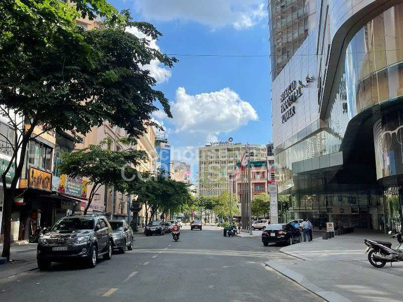 Sieu-Vi-Tri-Kim-Cuong-Nha-Mat-Tien-Ngay-Pho-Di-Bo-Nguyen-Hue--Ben-Nghe-Quan-1-Cuc-Ky-Dac-Dia-Gia-T-id9720