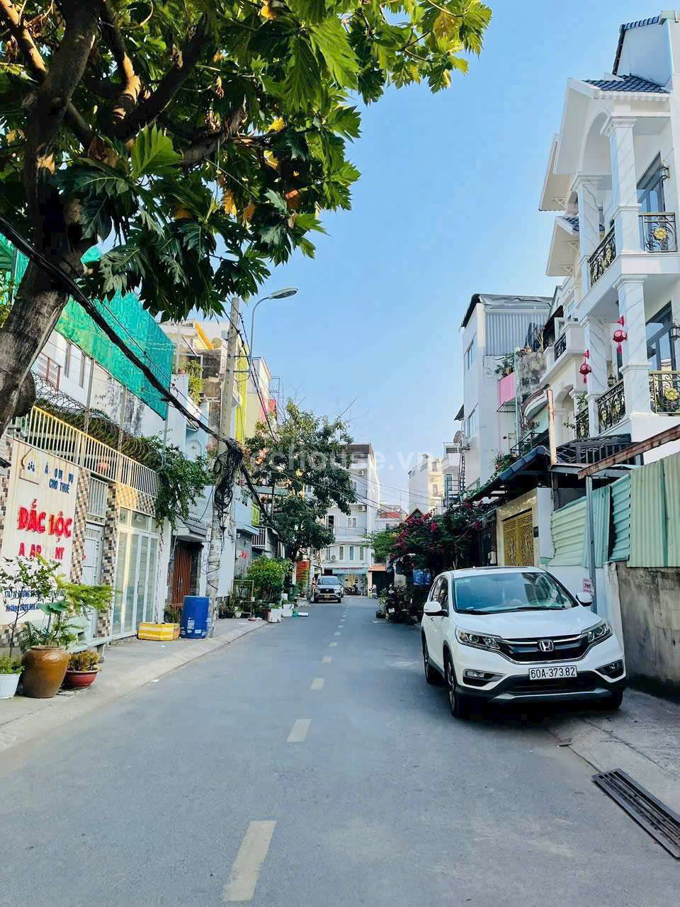 HXH-8m-Khu-lu-giaDT-8x16m-MDXD-Ham-Tret-Lung-4-lau-ST-Gia-288-ty-id9804