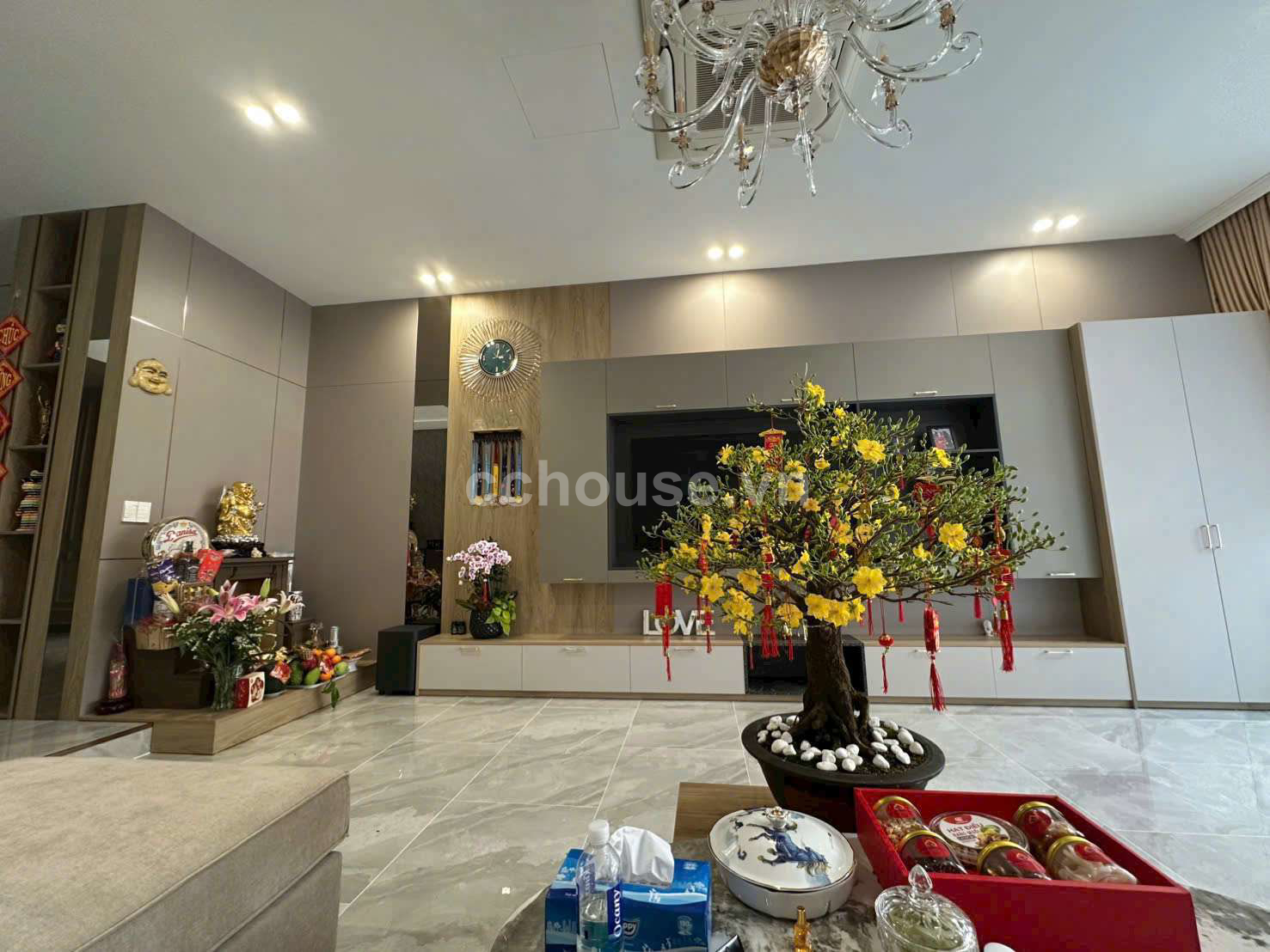Bán biệt thự đường Nguyễn chí Thanh Q5 ( đoạn gần Hùng Vương)