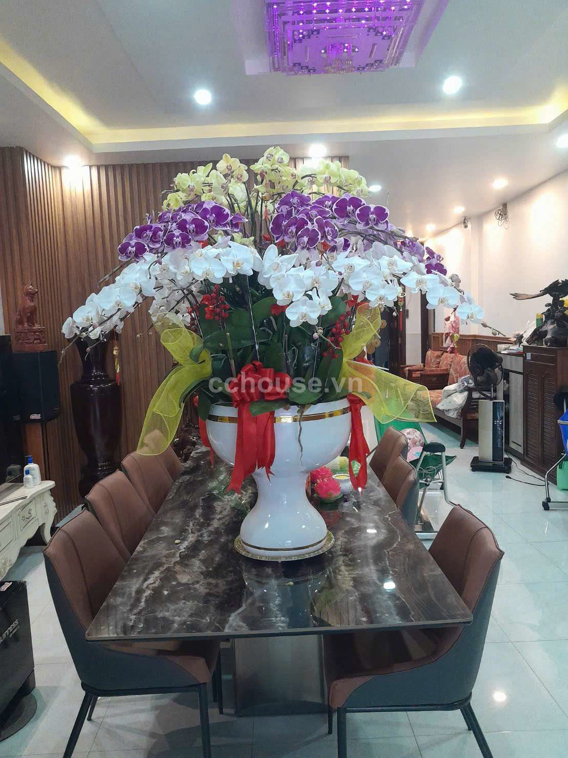 Đường 8m CHDV 12 phòng Nở hậu : 6.3m 373 Lý Thường Kiệt .