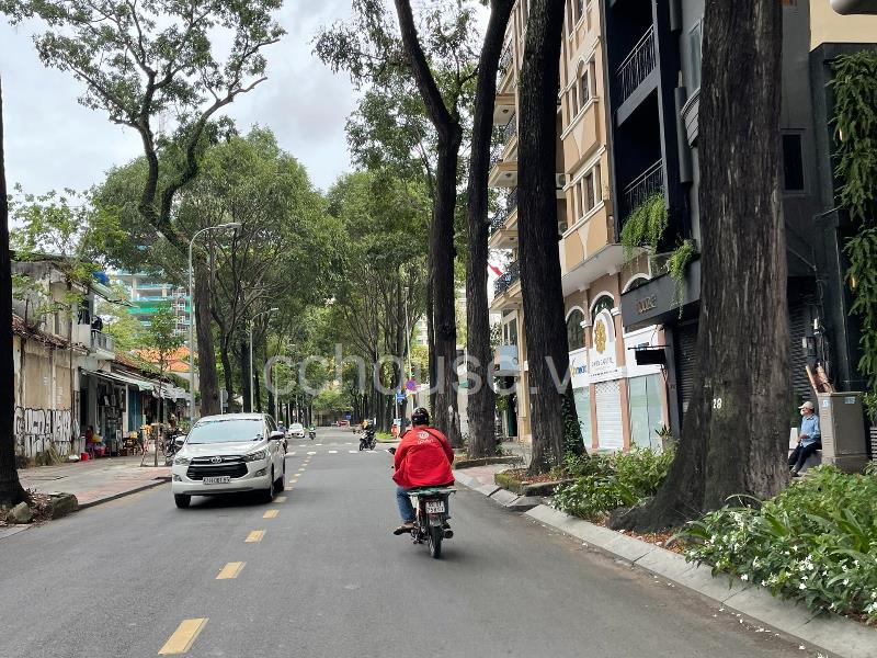 Mặt Tiền Chu Mạnh Trinh ( Lê Thánh Tôn ), P. Bến Nghé, Quận 1