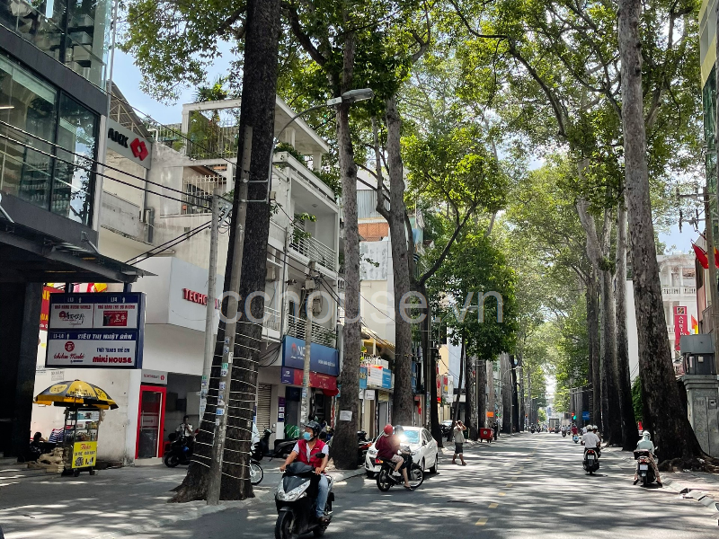 Khuôn Đất Building Hầm - 9 Tầng MT Trần Quang Khải . DT 8m*35m. Giá Bán 115 Tỷ Thương Lượng