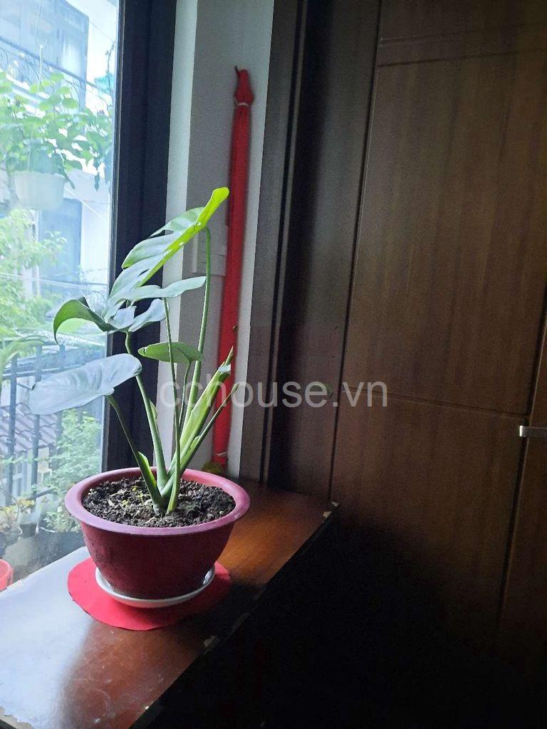 Hẻm 6m Hòa Hưng, P12, Quận 10, DT:6x12,5m, 3 tầng, hẻm sang trọng, Giá 14.7 tỷ