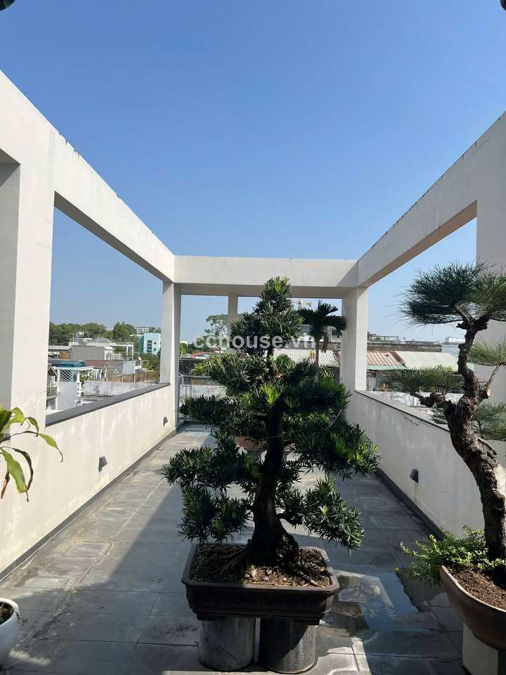 Cho thuê nhà MT Trần Hưng Đạo, P6, Q5. DT 4x20m, 5 tầng ST