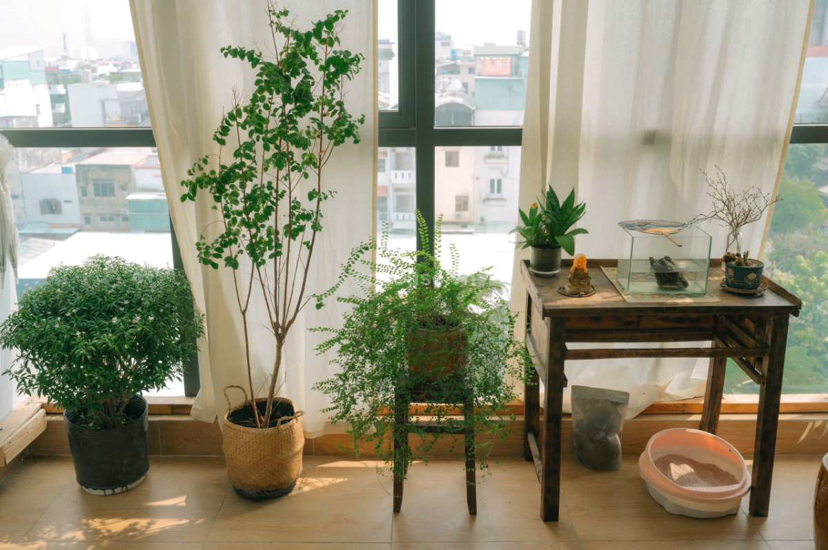 Bán nhà căn góc 2MT Lê Đức Thọ, P.An Nhơn. DT 4x21m, 6 tầng