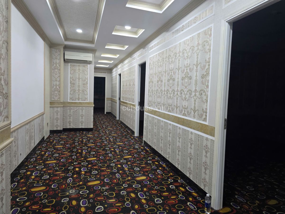 Tòa nhà MT Cao Thắng ngay Võ Văn Tần. DT 6x20m, hầm 8 tầng ST