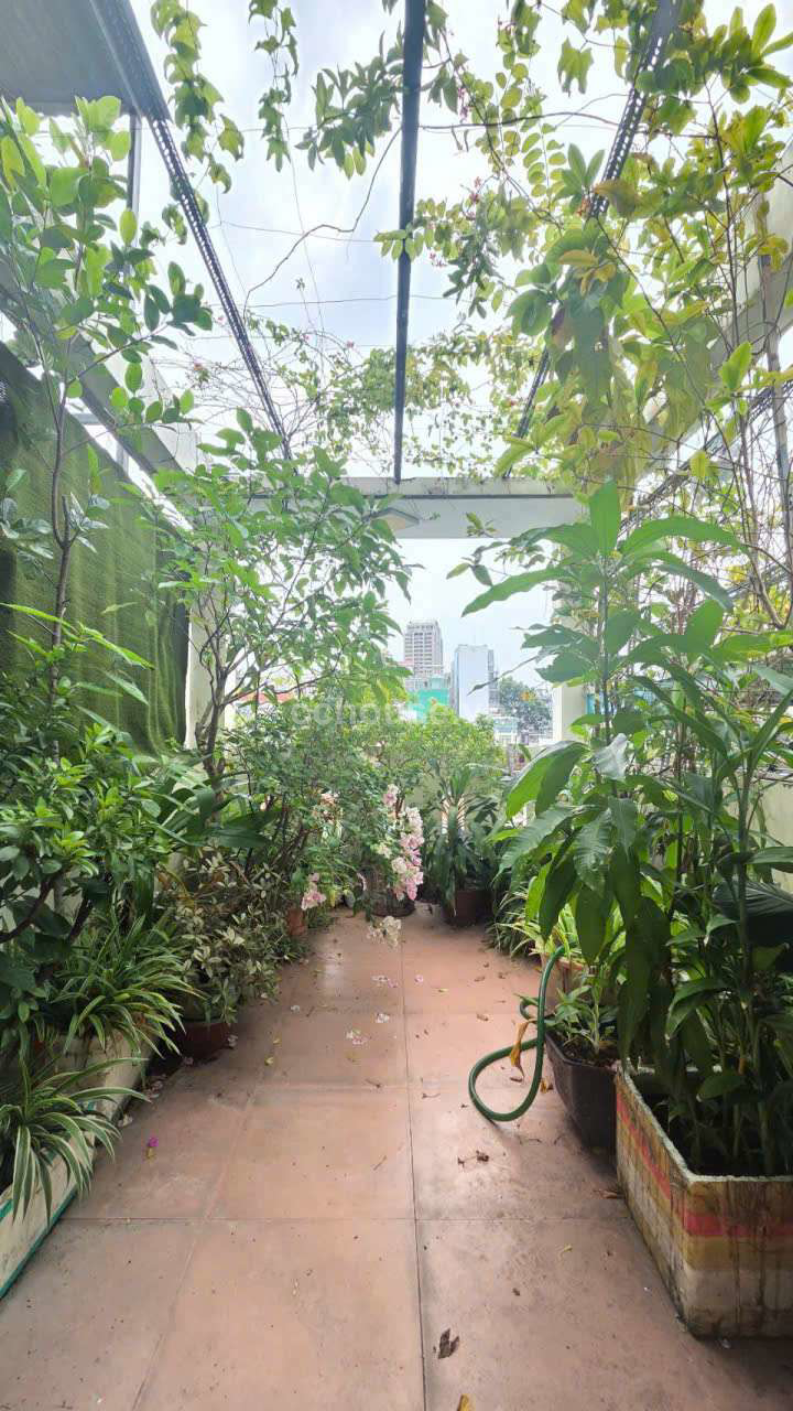Bán nhà hẻm 175 Lê Hồng Phong, P.Chợ Quán. DT 3x17m, 5 tầng