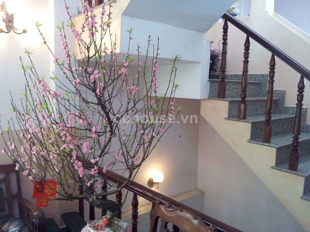 Bán nhà HXH Nguyễn Trọng Tuyển, P.Tân Sơn Hòa. DT 163.5m, 2 tầng
