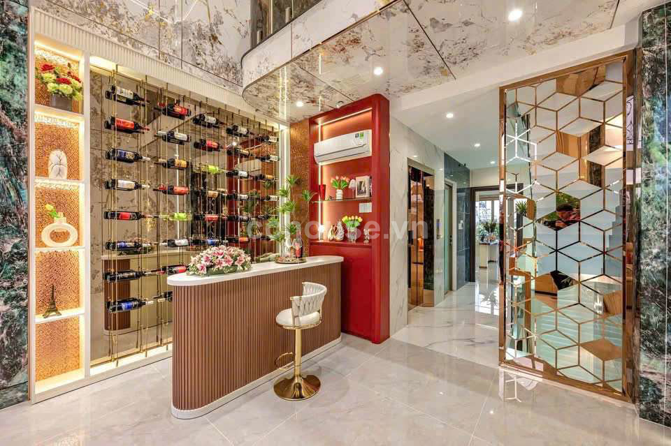 Bán Nhà Phố Luxury Ngay Quang Trung Gò Vấp DT Sàn 423m2 5 Tầng ST